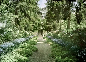 Path in Monet